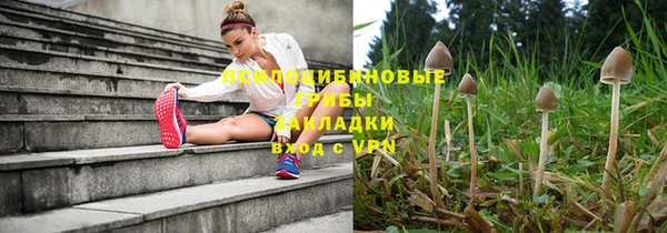 тгк Ижевск