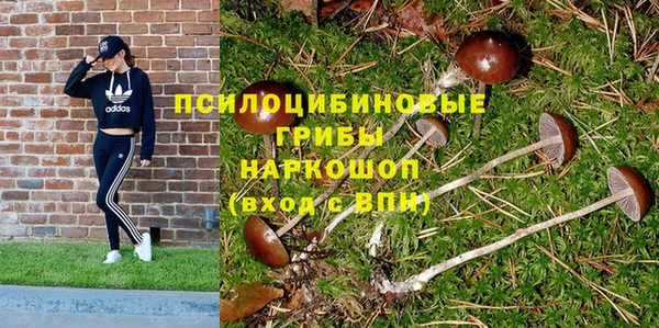 мяу мяу кристалл Гусев