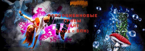 ешки Гусь-Хрустальный